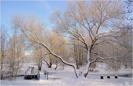 In Winter Park / ***