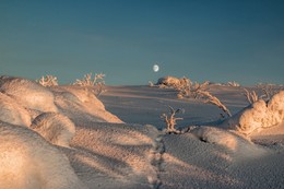 Mond / ***
