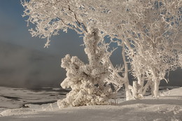 The Winter's Tale. / ***
