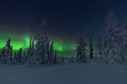 &quot;Aurora&quot; / ***