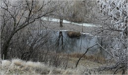 Mirror / ***