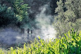 Nebel über dem Fluss / &quot; &quot; &quot;