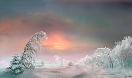 Pink Evening / ***