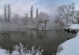 Winter fog / ***