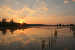Reflection / ***