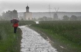 Rainy summer / ***
