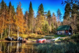 At the edge of forest / ***