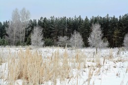 Freeze / " " "