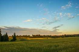 Early morning. / ***