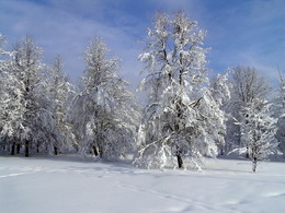 The Winter's Tale / ***