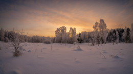 At dawn / ***