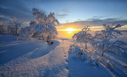 Winterlandschaft / ***