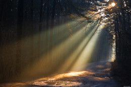 Licht / ***