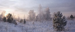 Winter evening. / ***