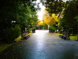 Parque de otoño / ***