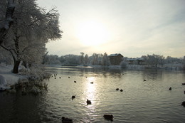 The evening in the park / ***