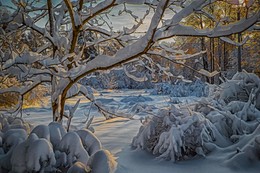 After a snowfall. / ***