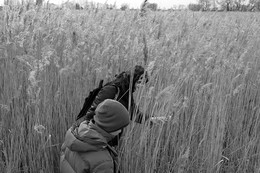 Rushes / 5.03.2017