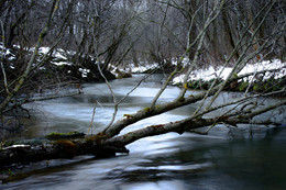 On the river / ***