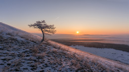 frosty morning / ***