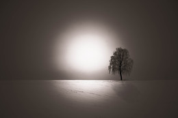 February morning / ***