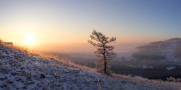Winter fog / ***