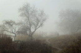 Reise / ***