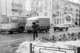 Wenn die Bäume groß / ***