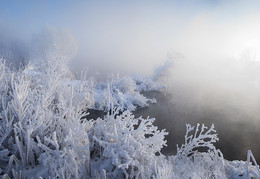 Frostigen Morgen . / ***