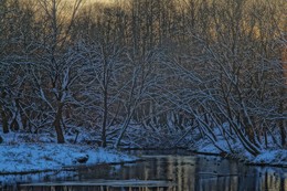 Winter / 123