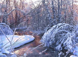 Sunny morning / ***