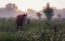 Five minutes before the dawn ... / http://www.youtube.com/watch?v=pbZ4t45SWLI