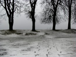 Steps / ***