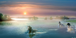 Home ... / ***
