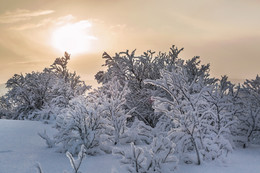 After snowfall / ***