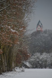 Benediktinekloster Scheyern / Blick auf Kirchturm der Basilika von der "Pappelallee" aus