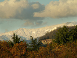 Winter Herbst / ***