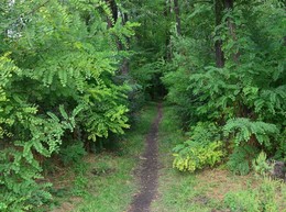 Path / ***