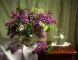 lilac / 2016