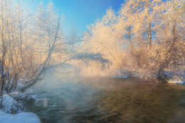 Morgennebel / ***