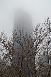 mist day / ***
