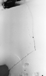 &nbsp; / [img]https://a.radikal.ru/a14/1802/93/3771d74f7e95.jpg[/img]

[img]https://c.radikal.ru/c36/1802/bf/5615ddef0a7d.jpg[/img]

[img]https://d.radikal.ru/d19/1802/b1/5b2ac02f7373.jpg[/img]

[img]https://a.radikal.ru/a10/1802/28/a4a1a0d9873c.jpg[/img]

[img]https://a.radikal.ru/a00/1802/c1/735ea2d2d3cb.jpg[/img]