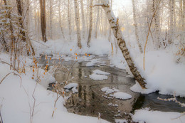 the brook / ***