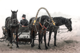 Winter im Dorf / ***
