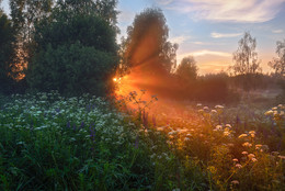 Evening Rays / ***