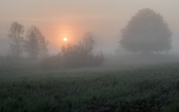 Nebliger Morgen / ***