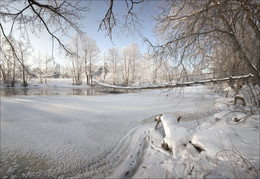 frosty morning / ***