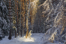 Winter etude / ***