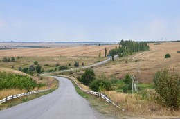steppe landscape / ***