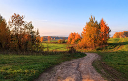 The road to autumn / ***